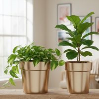 INDIAN DECORMART Metal Tappered Planter for Home and Garden Indoor as Well as Outdoor Decorative Pot for Living Room Balcony