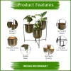 1-idm22014-indian-decormart-original-imah8rchrvkpgkfv