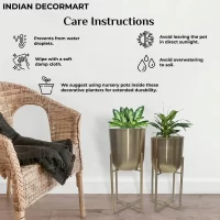 Metal Decorative Modern Indoor Planters