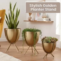 Modern Planters with Stand for Living Room Plant Container Set
