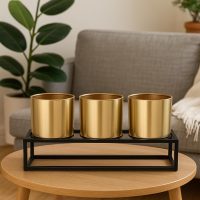 Metal Plant Pots (Golden)