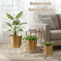 Metal Plant Pots with Stand (Golden, PO3)