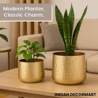 Metal Plant Pots (Golden)