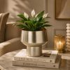 71vgUQ8eUfL._SL1254_