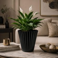 Elegant Shape, Stylish & Durable Metal Pots for Indoor Plants & Decoration| Modern Look, Strong Build, Perfect for Home Décor | Storage Bin/Basket | 23x24x20 cm Dia Pot (Pack of 1, Black)
